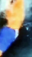 Amazing video #shorts #trending #virals #mostfunny