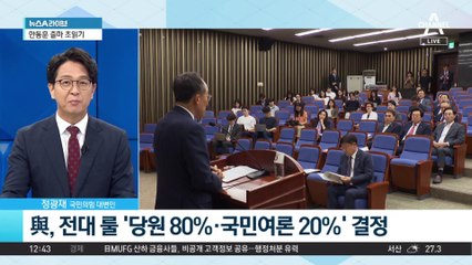與, 당권 전쟁 돌입?…당권주자들, 한동훈 맹공