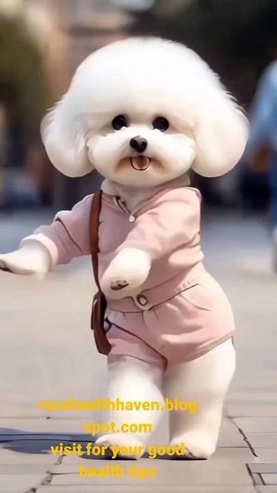 Puppy is Dancing