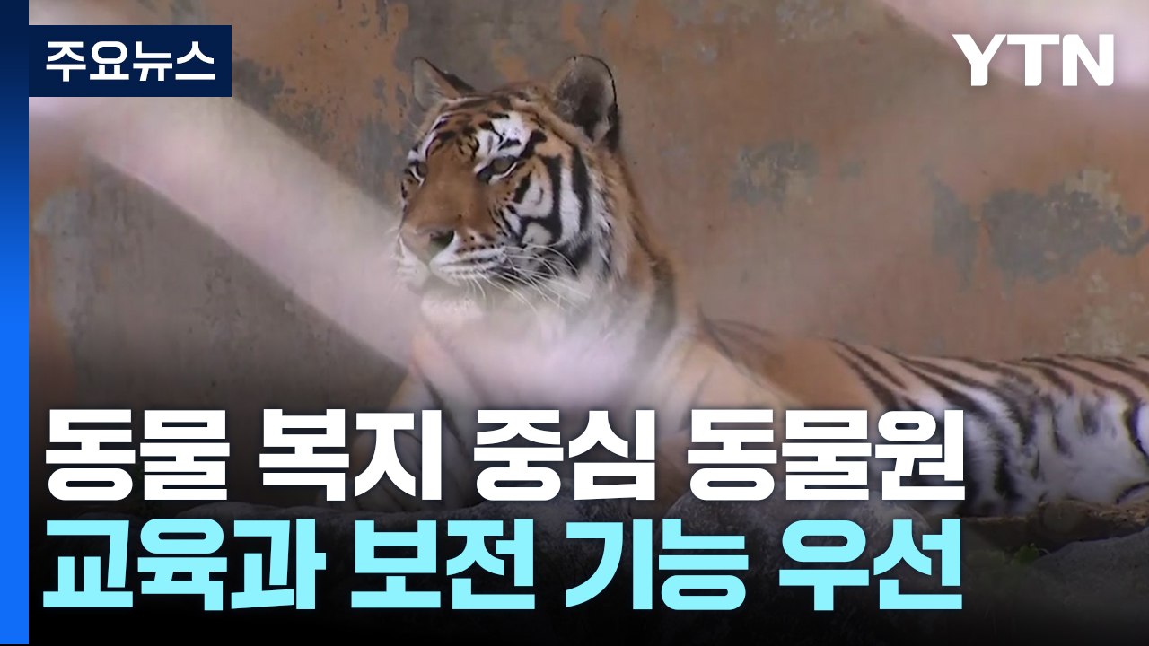 국내 첫 거점동물원 '청주 동물원'...동물 복지 중심 / YTN