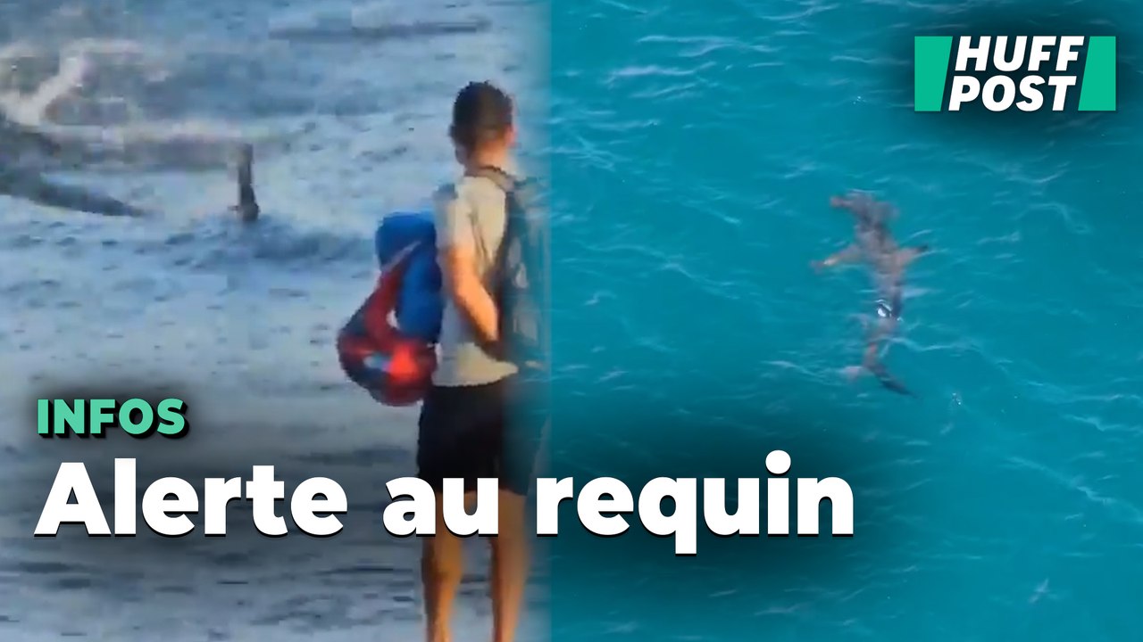 Un requin a semé la terreur sur ces plages des Canaries