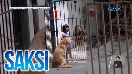 Isang bata at golden retriever, nakabuo ng special friendship | Saksi