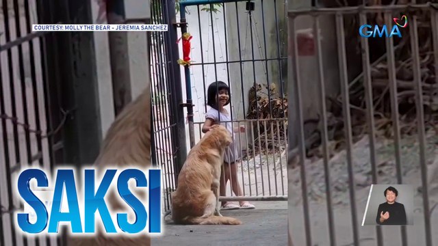 Isang bata at golden retriever, nakabuo ng special friendship | Saksi