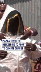 Beset by climate change, Maasai farmers turn from cattle to bees