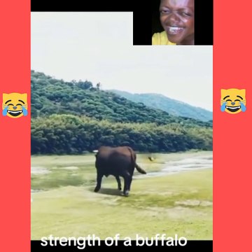 #AwkwardMoments#UnintentionalComedy#EpicFail#OopsIDidItAgain#CantMakeThisUp#LaughingAtMyself#WhenYouKnowYouKnow#LifeIsWeird#RandomLOL#WhoopsieDaisy#NailedIt#AccidentalGenius#DailyDisaster#NoFilterNeeded#OopsMyBad