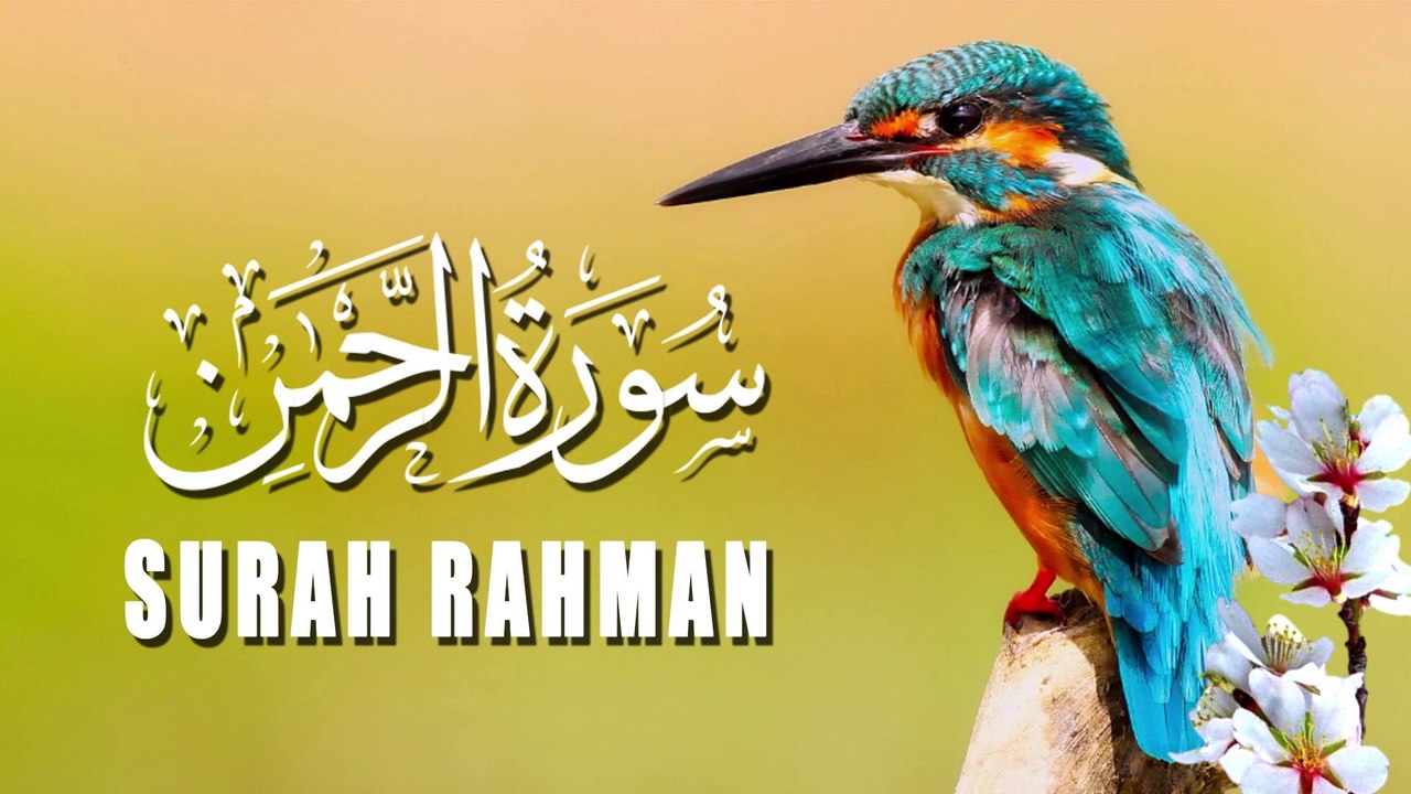 Surah Rahman | Beautiful and Heart Trembling Quran Recitation ( سورة الرحمن)