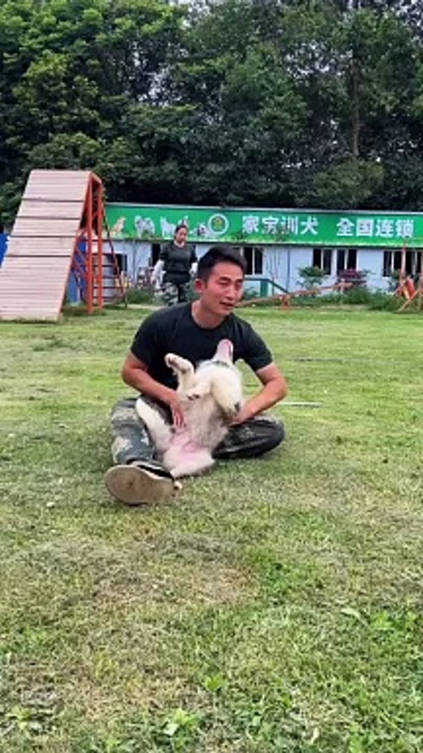 ⁣Lovely pets