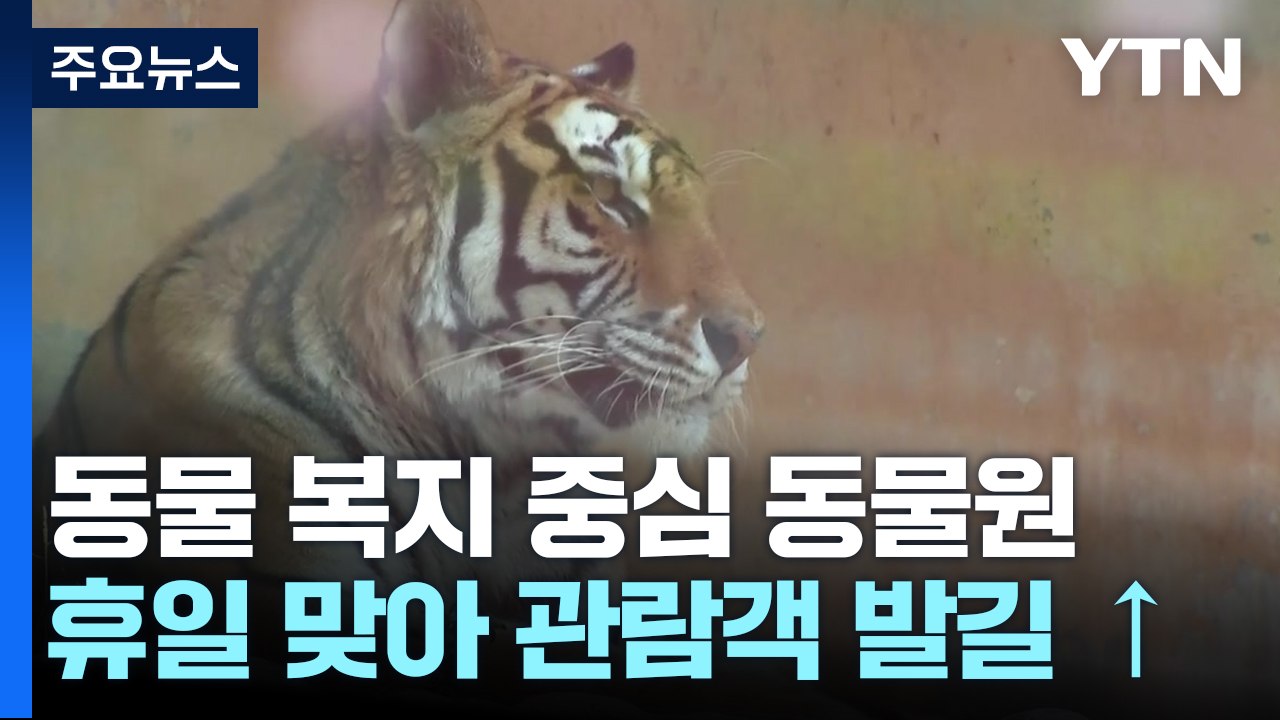 국내 첫 거점동물원 '청주 동물원'...동물 복지 중심 / YTN
