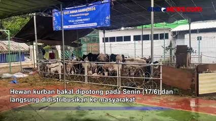 Masjid Agung Al-Azhar Jakarta Bakal Lakukan Pemotongan Hewan Kurban Besok Senin