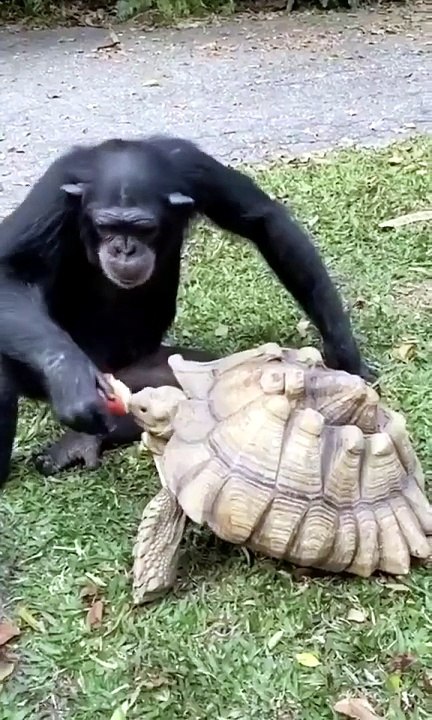 Sharing is caring