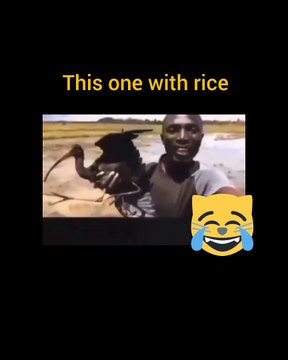 #AwkwardMoments#UnintentionalComedy#EpicFail#OopsIDidItAgain#CantMakeThisUp#LaughingAtMyself#WhenYouKnowYouKnow#LifeIsWeird#RandomLOL#WhoopsieDaisy#NailedIt#AccidentalGenius#DailyDisaster#NoFilterNeeded#OopsMyBad