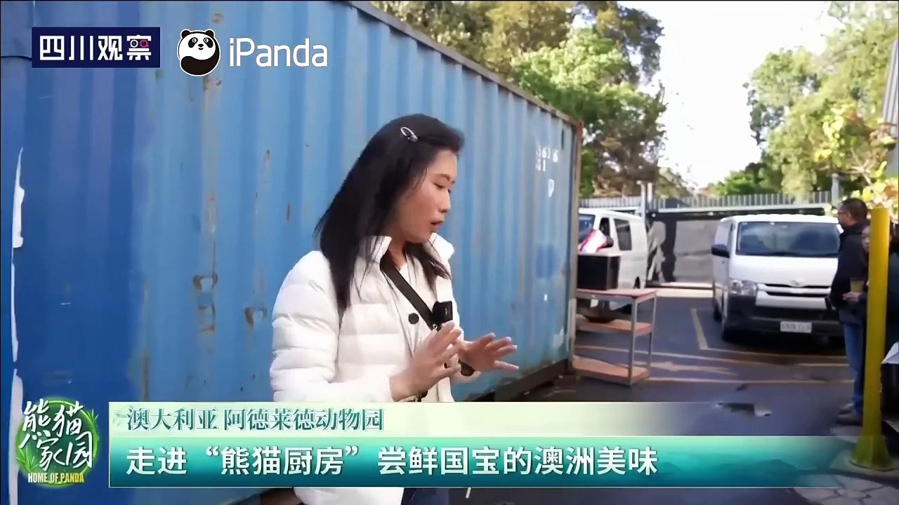 澳大利亚阿德莱德动物... - @猪么么儿 的视频 - 视频 - 微博