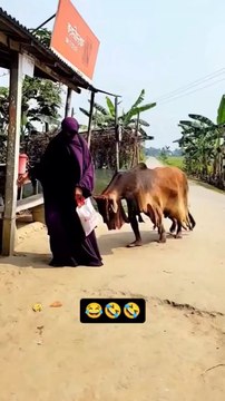 Rolling in Laughter: Hilarious Comedy Moments