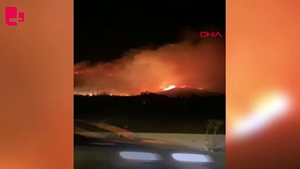 Zeytinlik yangını söndürüldü; orman işçisi dönüş yolunda kazada öldü