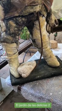 El jardín de las delicias. #jardín #mallorca #baleares #españa