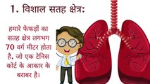 लंग्स  के बारे में 10 अद्भुत तथ्य-  Lungs  ke 10 amazing facts in Hindi. Human lungs education.