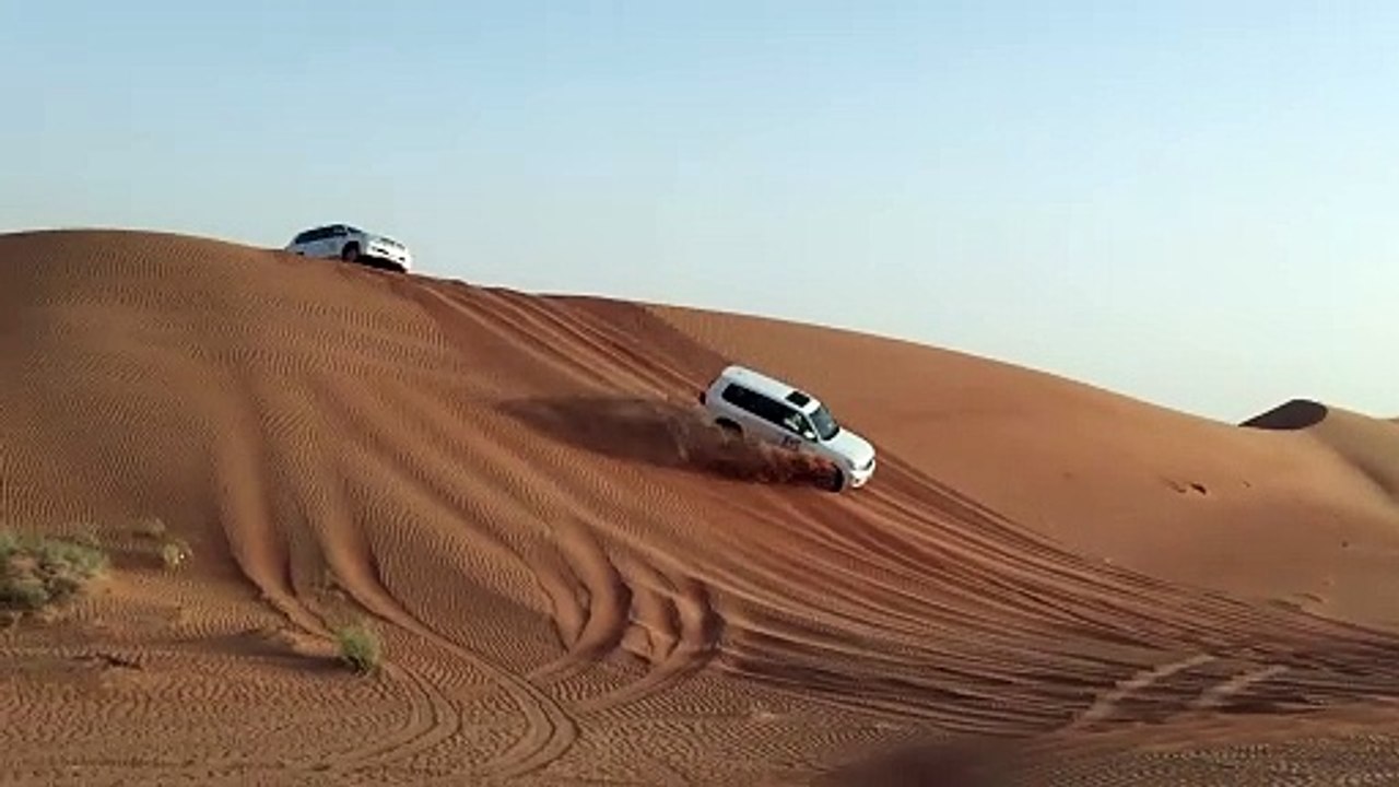 3596456-hd_1920_1080_30fps