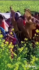 Kaho Main Kya Karun Main Kya sharm aati.