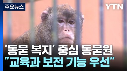 국내 첫 거점동물원 '청주 동물원'...동물 복지 중심으로 / YTN