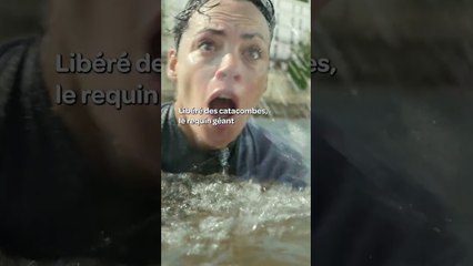 Ce détail CACHÉ dans "Sous la Seine" #souslaseine #screenshot #requin