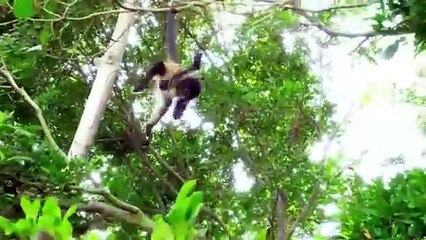 Roma_and_Diana_learn_the_alphabet___ABC_song_nesso_kids_learning_video