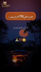 True lines farman mola Ali a.s