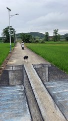 funny 3D Road Art: Hilarious Optical Illusions to Fool Everyone