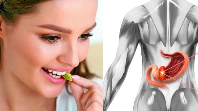 Roj 1 Elaichi Khane Se Kya Hota Hai | Roj 1 Elaichi Khane Ke Fayde | Boldsky