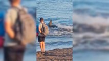 Pánico en una playa de Gran Canaria por la presencia de un tiburón en plena orilla