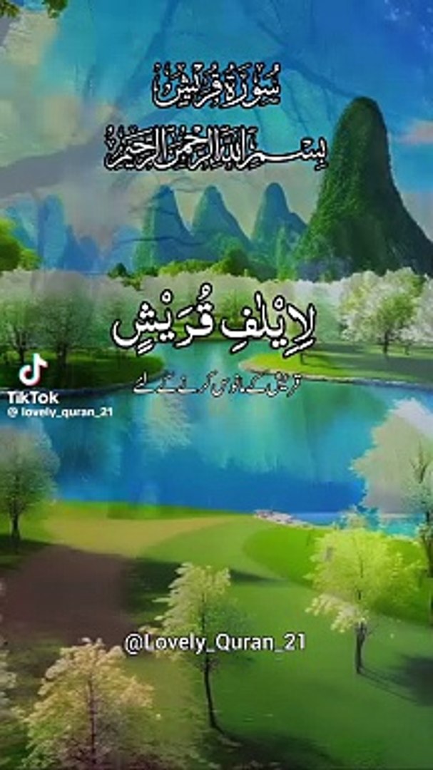 Amazing videos entertainment