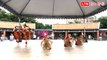 蝶影舞蹈劇場將赴捷克2024舞蹈世界盃總決賽 今公演舞出台灣之光