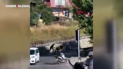 Maltepe’de kaçan boğa sahibini yerde sürükledi