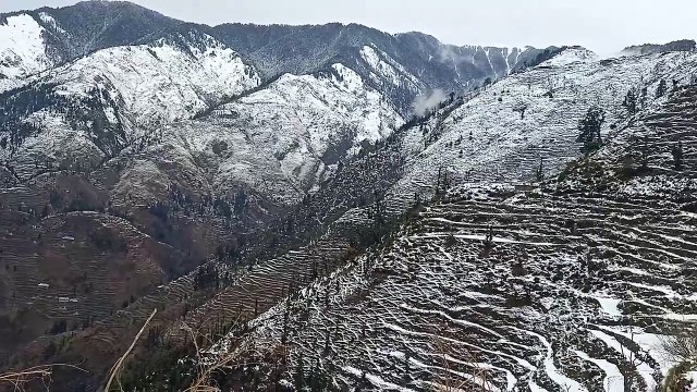 700d7131-2542-4f56-9f96-81b82d8616f4-1_all_64