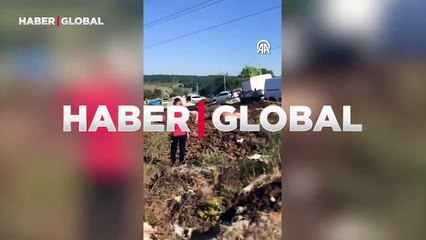 Kesim alanından kaçan kurbanlık dana çamura saplandı