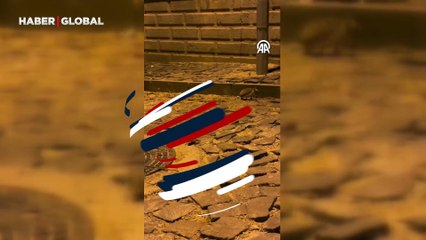 Yiyecek arayan kirpi kurbağayla kapıştı: O anlar kamerada