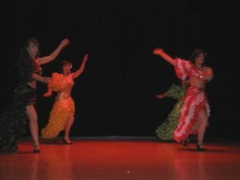 Afans2008