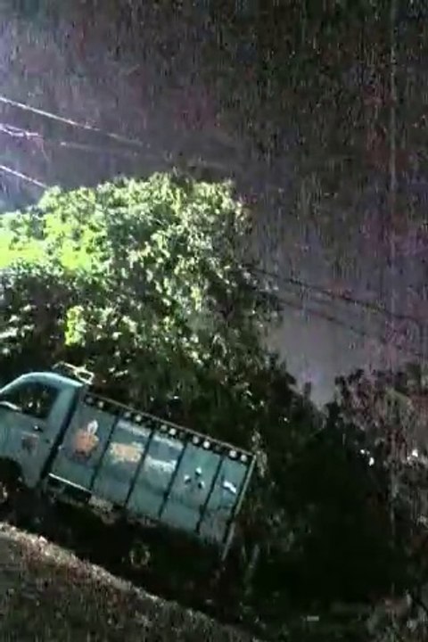 VID_20240605_185606 Squally Winds 60 Km/h Gusts - video Dailymotion