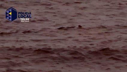 Cierran por segunda vez una playa de Gran Canaria tras avistar un tiburón