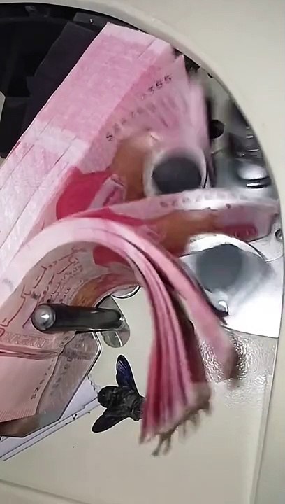 which_insect_is_this#cashcountingmachine_#money_#moneygirl_#trendig_#viraltiktok_#viral_#foryou_