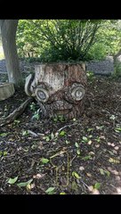 Seeing Faces in Everyday Objects - Part 48