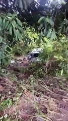 Ônibus e van se envolvem em sinistro na BR-232