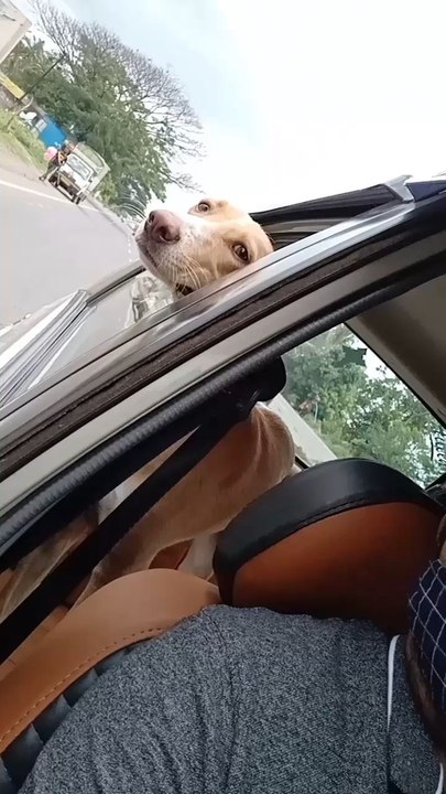 Cherry Enjoying her first ever long drive 