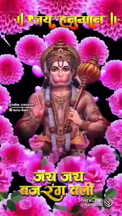 VID-20240615-WA0048