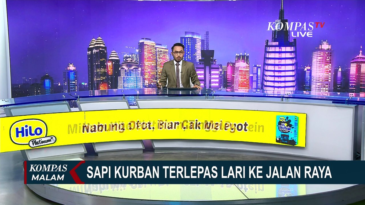 Mengamuk, Sapi Kurban Terlepas dan Berlarian di Jalan Raya Pondok Gede Jakarta Timur