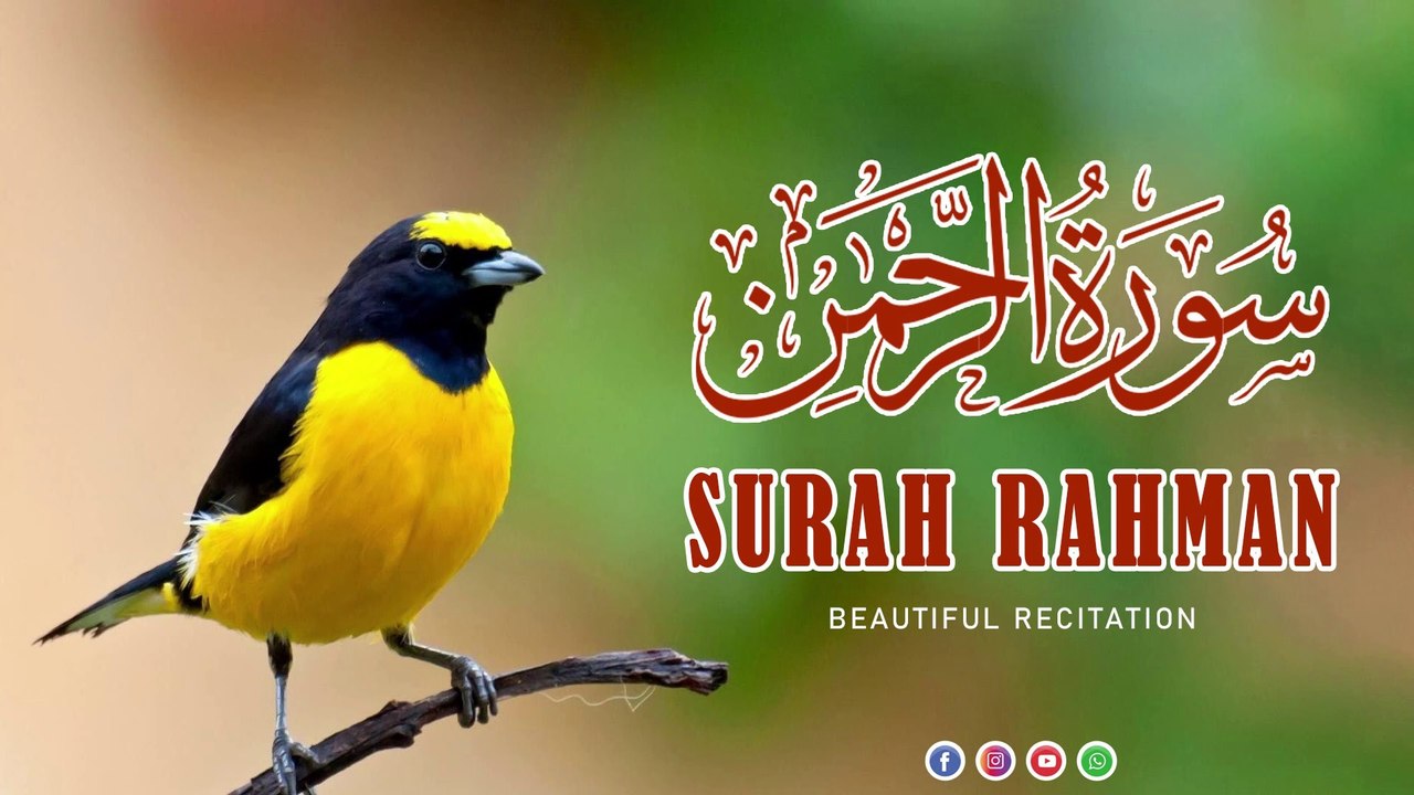 Surah Rahman- Beautiful and Heart Trembling Quran Recitation By Qari ...
