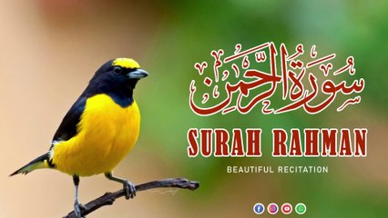 Video herunterladen: Surah Rahman- Beautiful and Heart Trembling Quran Recitation By Qari Sadaqat Ali | Tilawat Quran|