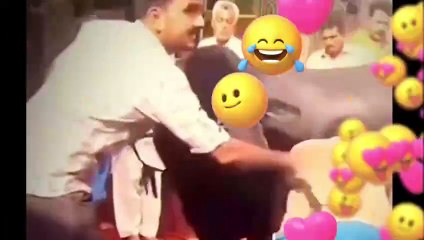 Bakra Eid funny clips #funny