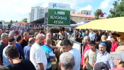 İstanbul sokakları kesim alanına döndü