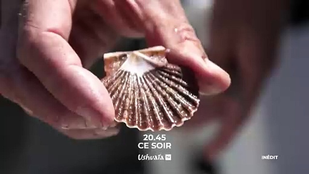 L'odyssée de la coquille Saint-Jacques - Bande annonce