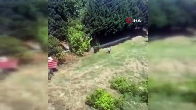 Sahibinden kaçan kurbanlık boğa çocuk parkına daldı